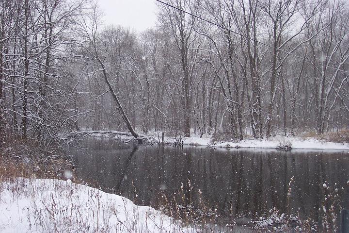 Snow 017.jpg